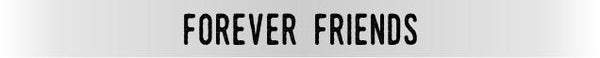 "Forever Friends" Silver Embracelet