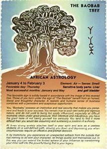 AFRICAN - BAOBAB