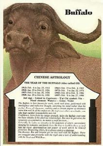 CHINESE - BUFFALO