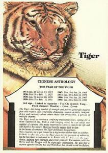 CHINESE - TIGER