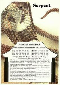 CHINESE - SERPENT