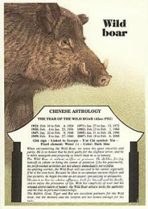 CHINESE - WILD BOAR