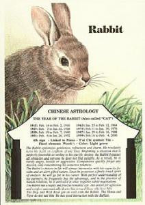 CHINESE - RABBIT