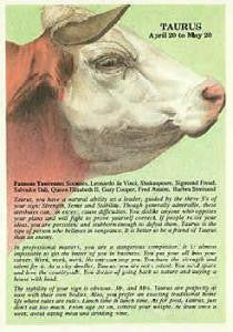 ZODIAC - TAURUS