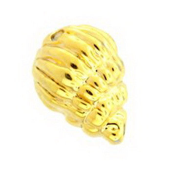 Charm, Trumpet Shell  Set/3