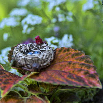 CARDINAL NEST W/PICK